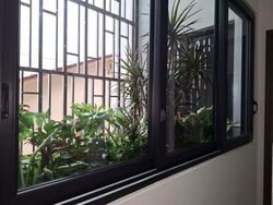 Henry Park (D10), Terrace #535350451
